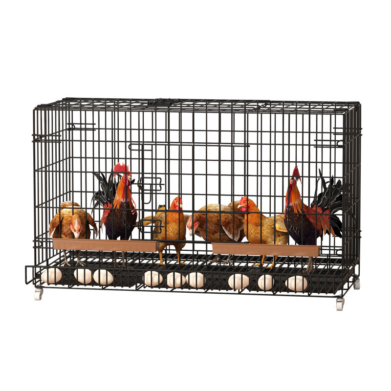 Robust chicken cage designed for easy cleaning and maintenance