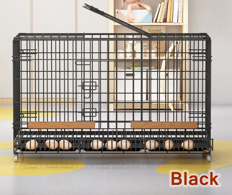 Spacious metal cage with secure locks for your poultry's safety