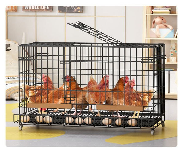 Home Breeding Metal Chicken Cage With Egg Tray & Wheels & Feeding | Feisuo Pet