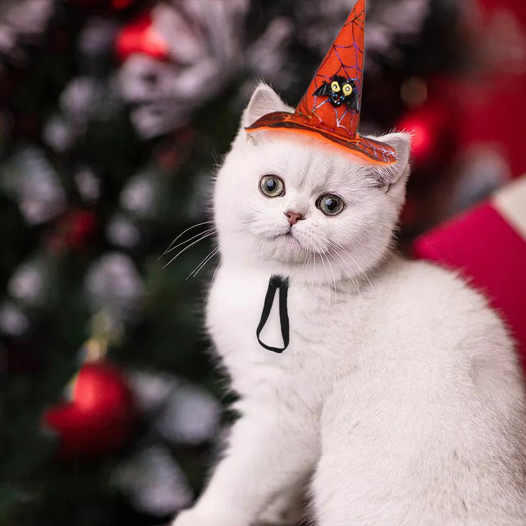 Ready Stock Wholesale Funny Halloween Christmas Hat for Cat Dog | Feisuo Pet