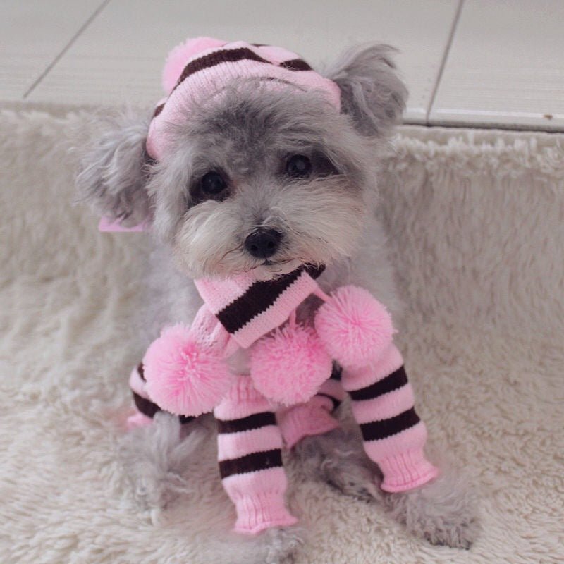 Ready Stock Wholesale & OEM 3pcs Suit Pet CaP + Scarf+ Feet Cover - Feisuo Pet