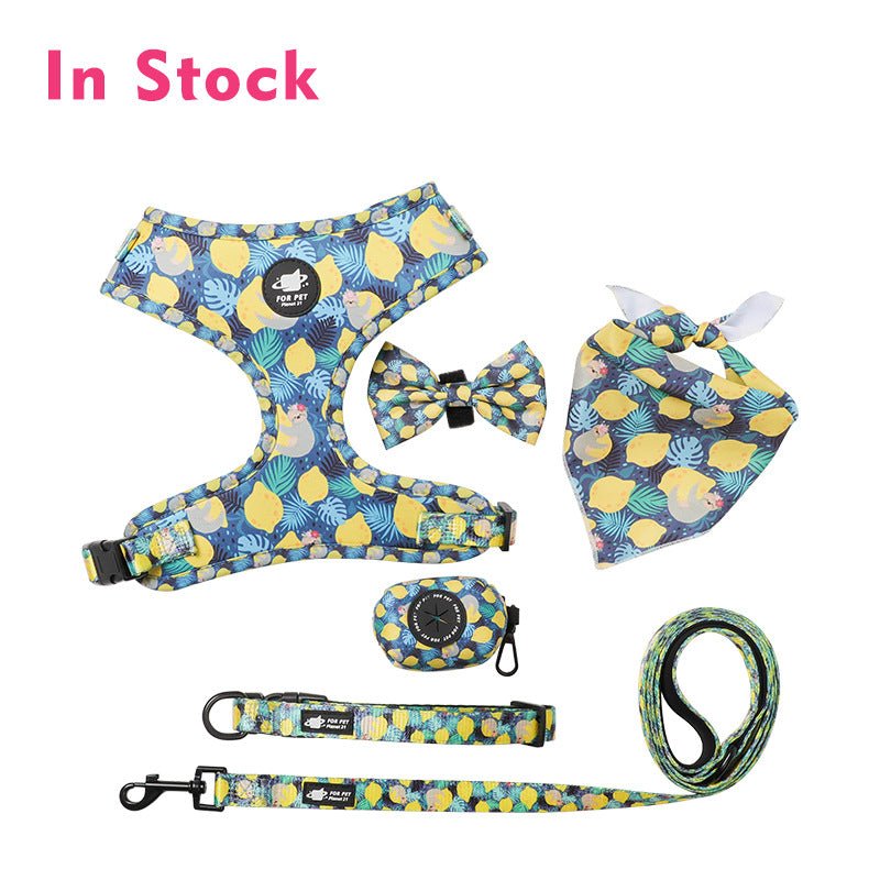 Ready Stock Wholesale & OEM 6 Pcs Pack Dog Cat Harness Set - Feisuo Pet