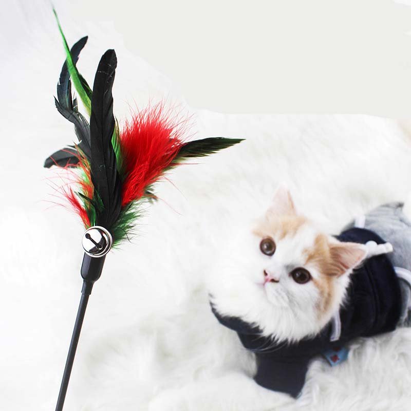 Ready Stock Wholesale & OEM Bite-resistant Colorful Feather Cat Stick - Feisuo Pet