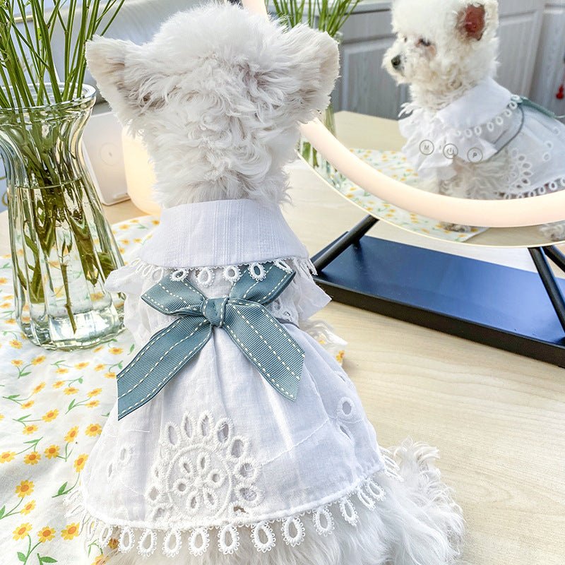 Ready Stock Wholesale & OEM Bow Cutout Pet Dress Clothing - Feisuo Pet