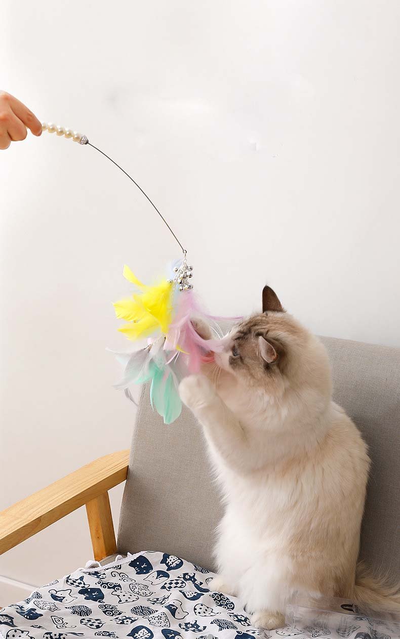 Ready Stock Wholesale & OEM Boxed Pearl Handle Colorful Feather Funny Cat Stick | Feisuo Pet