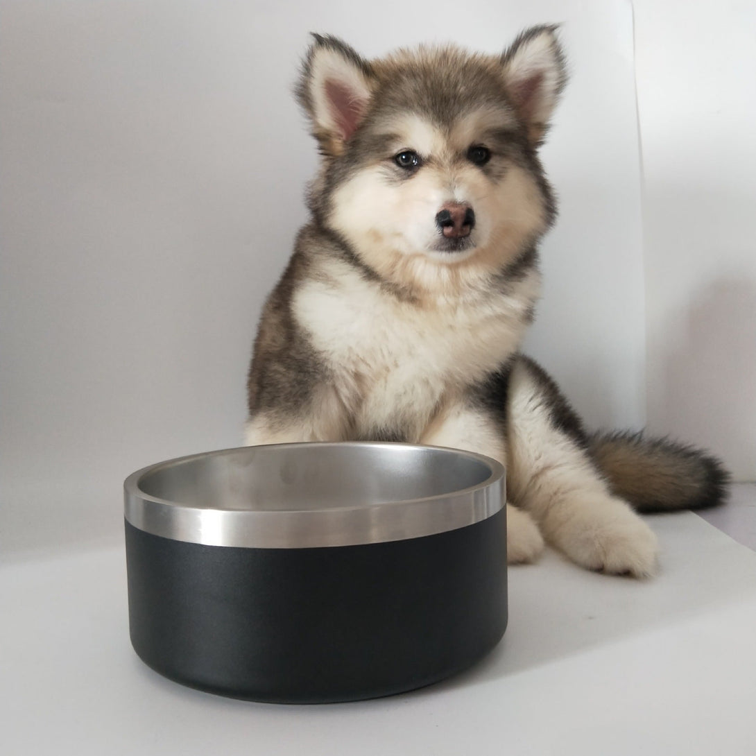 Ready Stock Wholesale OEM Brand 304 Double Layer Stainless Pet Bowl 32oz & 64oz | Feisuo Pet