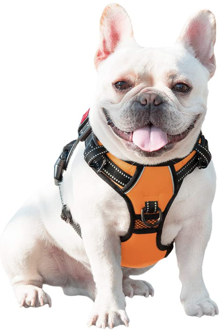 Feisuo Pet - Wholesale & OEM Ready Stock of Breathable, Reflective, Adjustable Dog Vest with Training Handle