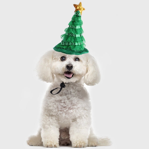 Ready Stock Wholesale & OEM Christmas Tree Dog Cat Hat | Feisuo Pet