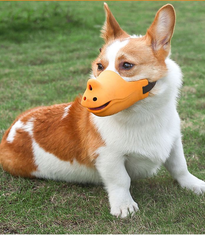 Ready Stock Wholesale & OEM Cute Rhino Dog Mouth Cover Anti-bite Anti Barking Tool - Feisuo Pet