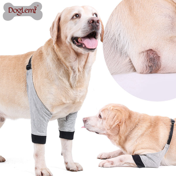 Ready Stock Wholesale & OEM Dog Front Leg Injury Protective Cover Soft Breathable Joint Brace | Feisuo Pet