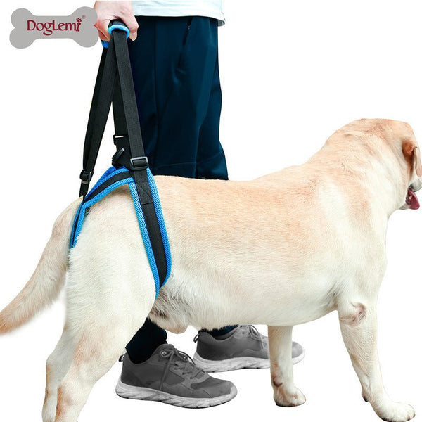 Ready Stock Wholesale & OEM Dog Hind Leg Walking Brace Stair Belt | Feisuo Pet