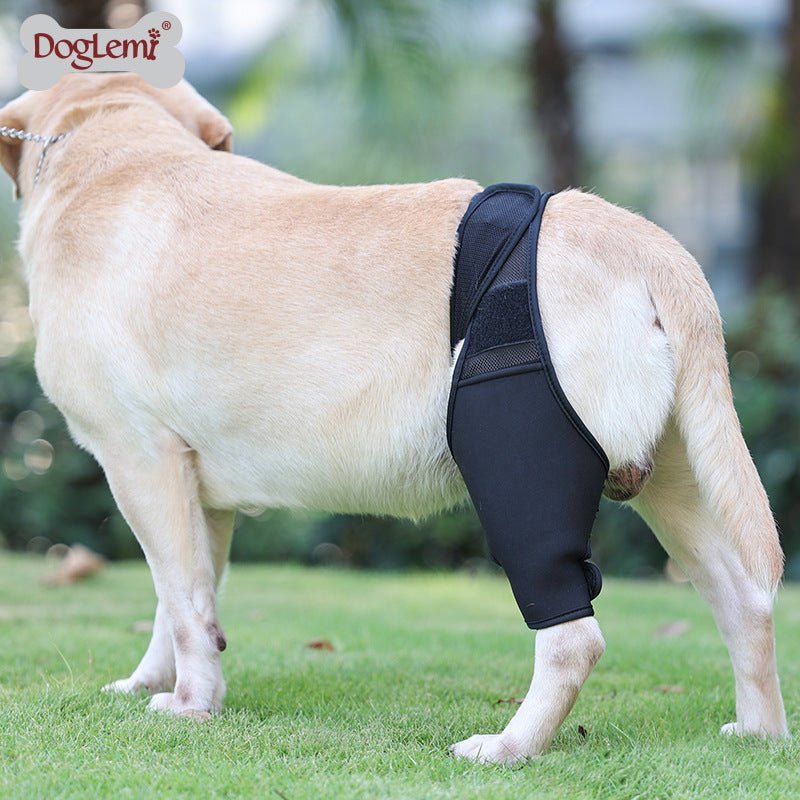 Ready Stock Wholesale & OEM Dog Leg Fracture Fixation Protective Gear Pet Front &Rear Leg Bracket - Feisuo Pet