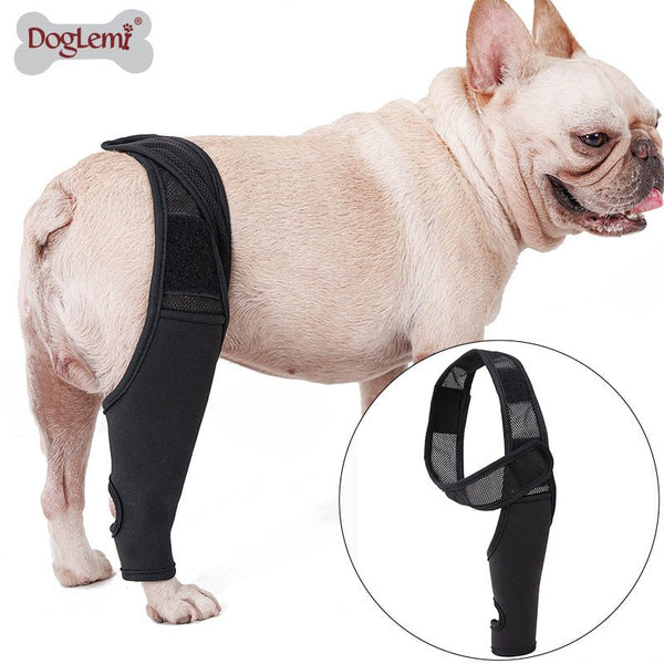 Ready Stock Wholesale & OEM Dog Leg Fracture Fixation Protective Gear Pet Front &Rear Leg Bracket | Feisuo Pet