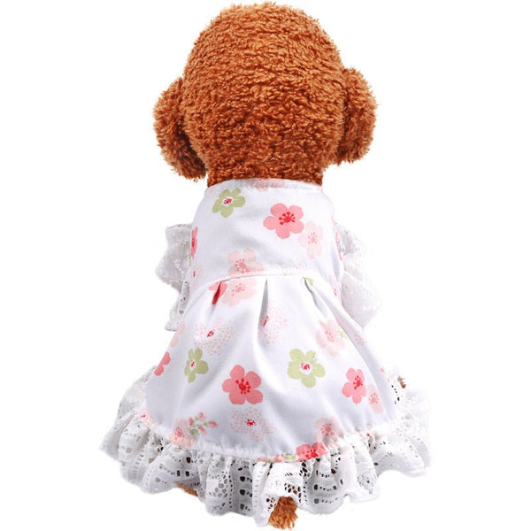 Ready Stock Wholesale & OEM Fashion Spring & Autumn Pet Dress - Feisuo Pet