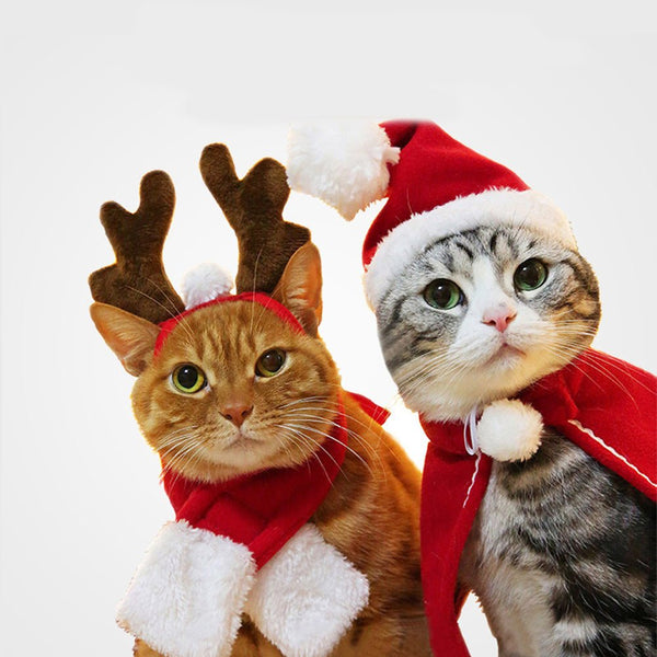 Ready Stock Wholesale & OEM Funny Christmas Decoration for Pet | Feisuo Pet