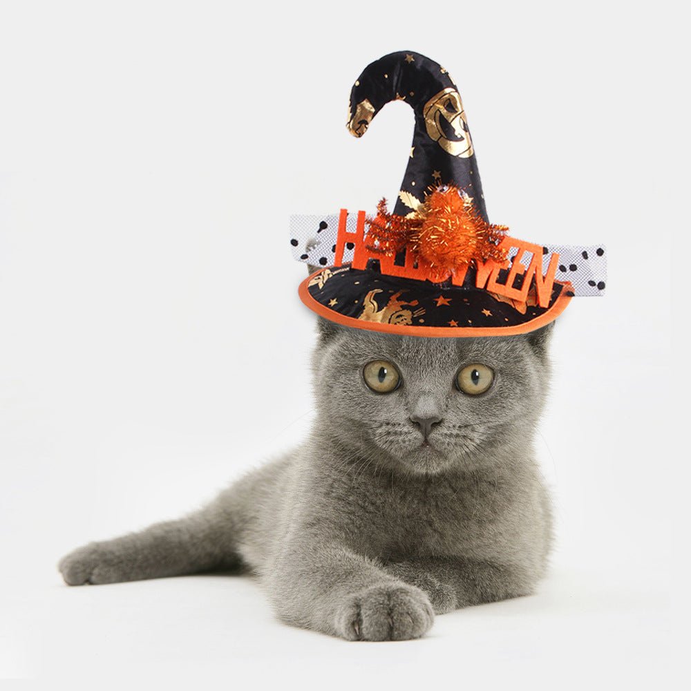 Ready Stock Wholesale & OEM Funny Halloween Cat Hat - Feisuo Pet