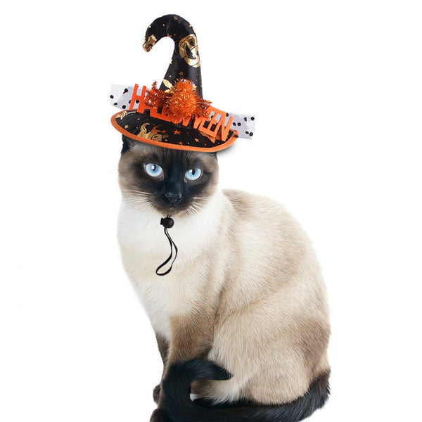 Ready Stock Wholesale & OEM Funny Halloween Cat Hat | Feisuo Pet