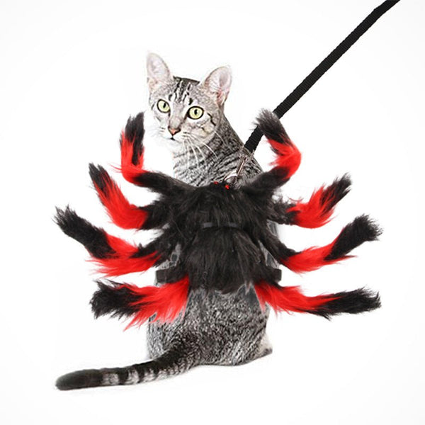 Ready Stock Wholesale & OEM Funny Spider Dog Leash Pet Halloween Dress Up | Feisuo Pet