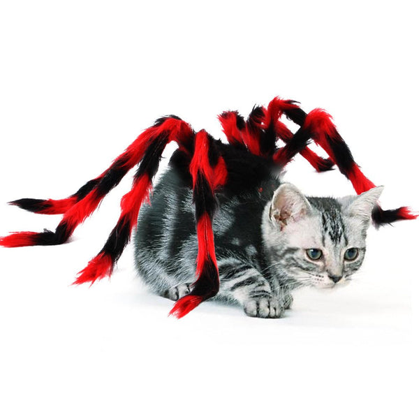 Ready Stock Wholesale & OEM Ghost Festival Cosplay Dog Cat Clothing Spider Harness | Feisuo Pet