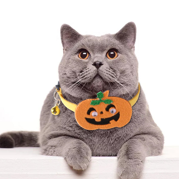 Ready Stock Wholesale & OEM Halloween Christmas Decoration Pumpkin Cat Bell Collar | Feisuo Pet