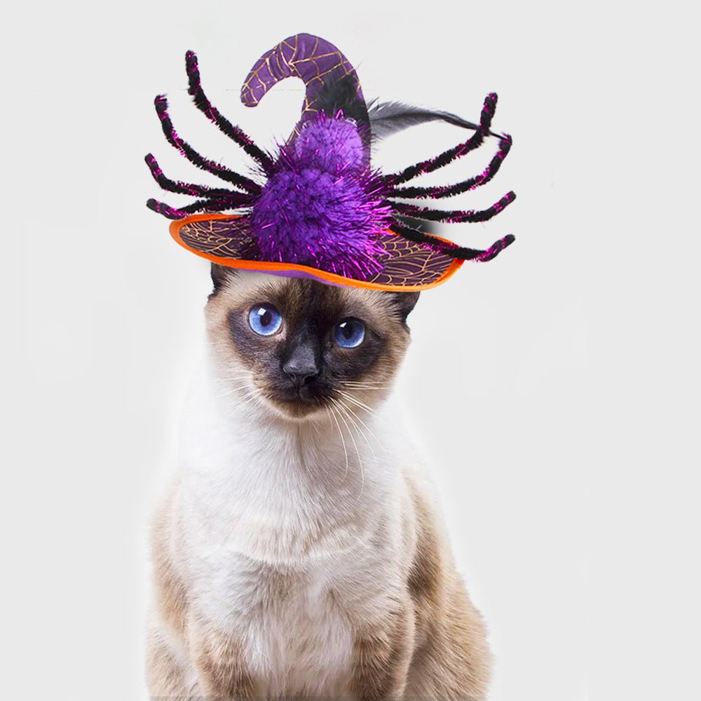 Ready Stock Wholesale & OEM Halloween Dog Cat Big Spider Hat - Feisuo Pet