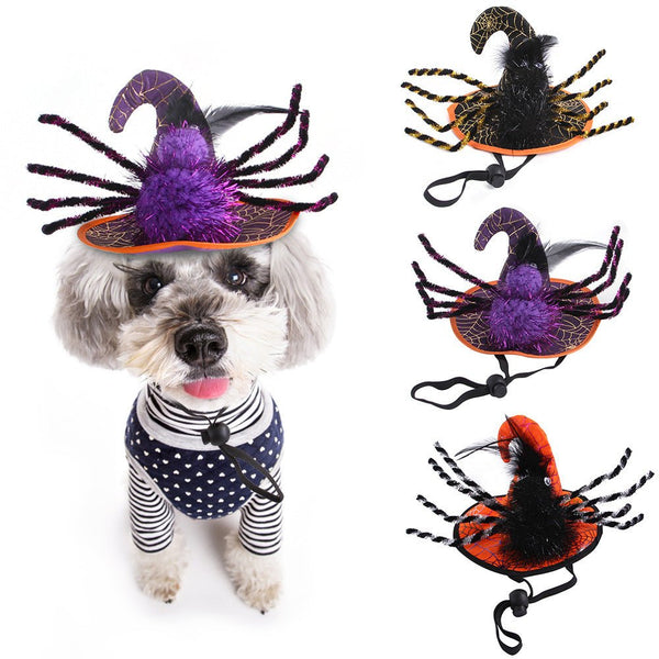 Ready Stock Wholesale & OEM Halloween Dog Cat Big Spider Hat | Feisuo Pet