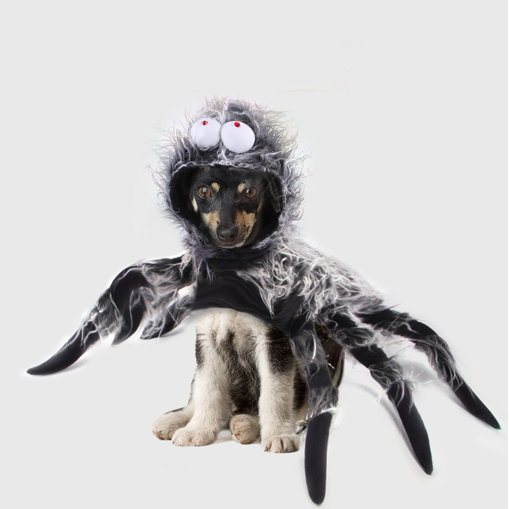 Ready Stock Wholesale & OEM Halloween Dog Clothing Funny Spider Car Vest | Feisuo Pet