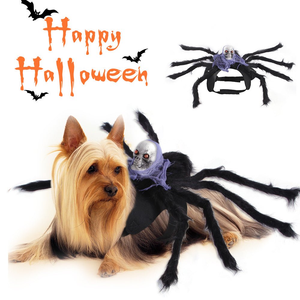 Ready Stock Wholesale & OEM Halloween Dress Up Spider Skull Dog Clothing | Feisuo Pet