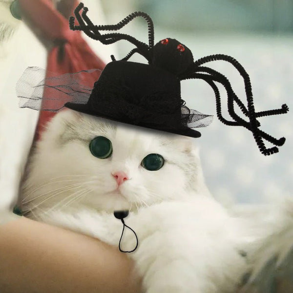 Ready Stock Wholesale & OEM Halloween Festival Big Black Spider Pet Hat | Feisuo Pet