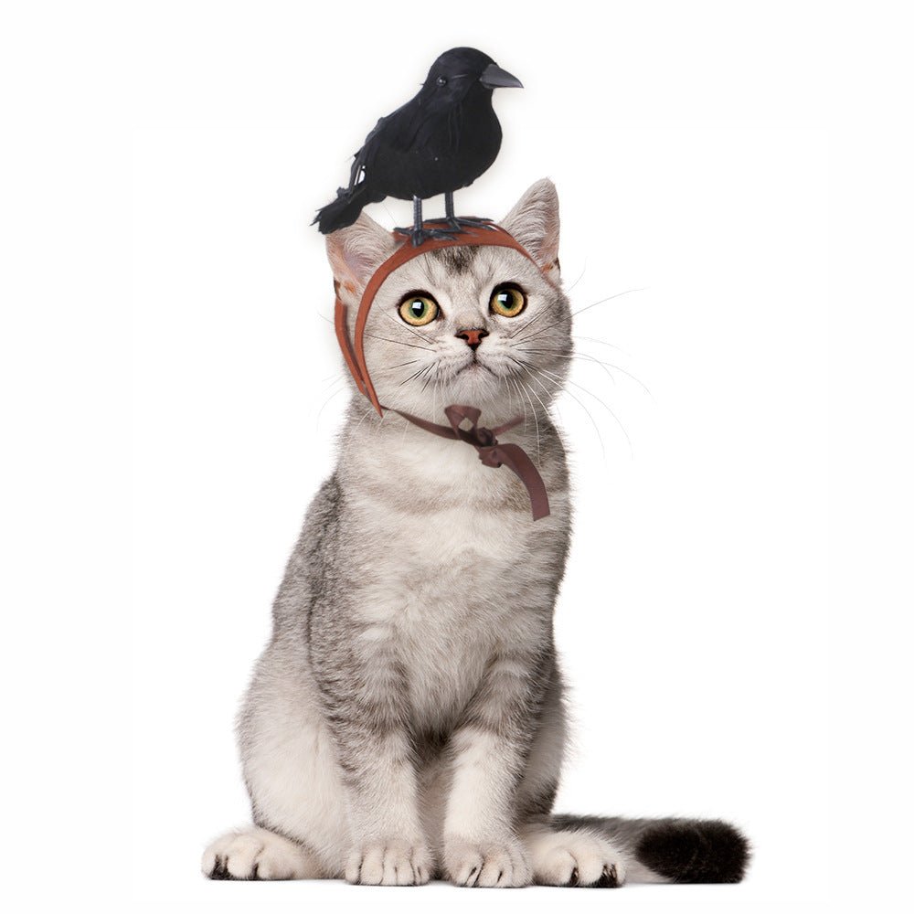 Ready Stock Wholesale & OEM Halloween Pet Dressing Crow Headdress | Feisuo Pet