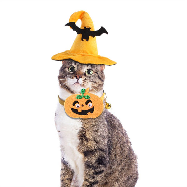 Ready Stock Wholesale & OEM Halloween Suit For Pet Bat Hat Pumpkin Dog Collar | Feisuo Pet