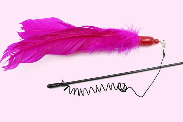 Ready Stock Wholesale & OEM Lengthened Feather + Bell Funny Cat Stick - Feisuo Pet