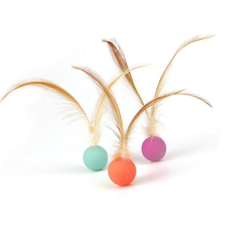 Ready Stock Wholesale & OEM Pet Bouncy Ball With Feather | Feisuo Pet