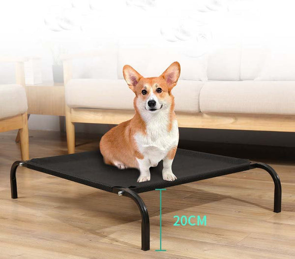 Ready Stock Wholesale & OEM Pet Camp Bed Breathable & Moisture-Proof | Feisuo Pet