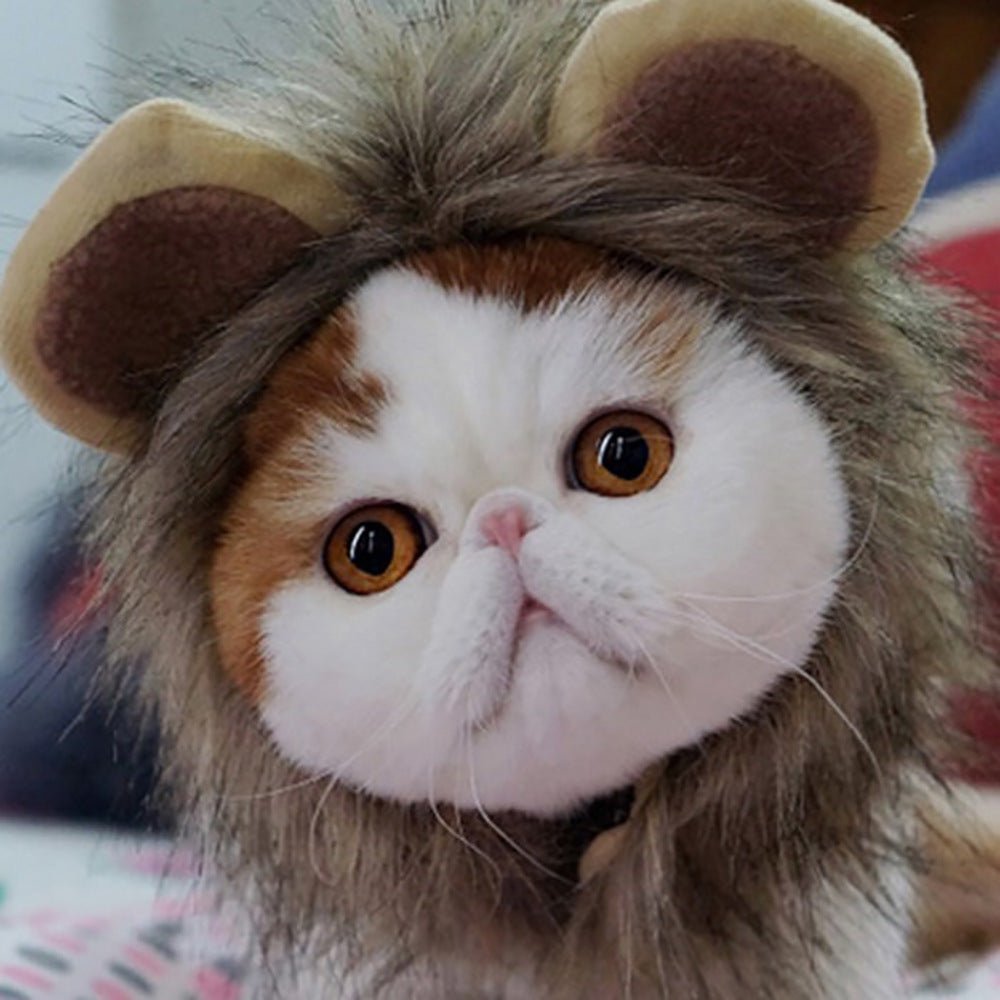 Ready Stock Wholesale & OEM Pet Cosplay Wig Brown Lion Mask Cap Wig | Feisuo Pet