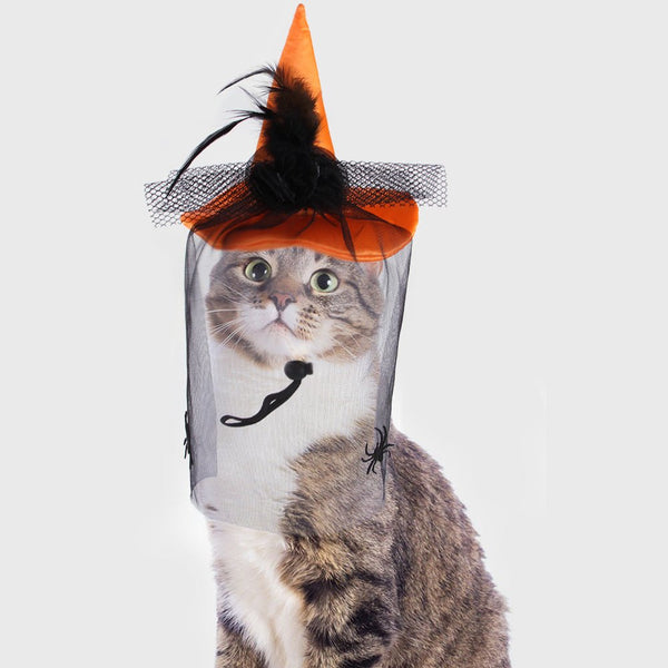 Ready Stock Wholesale & OEM Pet Halloween Hat Spider Headgear | Feisuo Pet