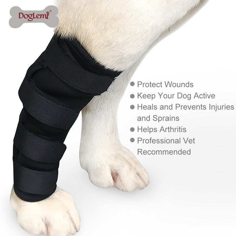 Ready Stock Wholesale & OEM Pet Joint Protection Leg Fixation Recovery Long Type | Feisuo Pet