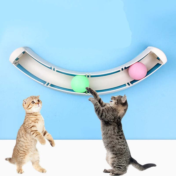 Ready Stock Wholesale & OEM Suction Track Ball Toy - Feisuo Pet