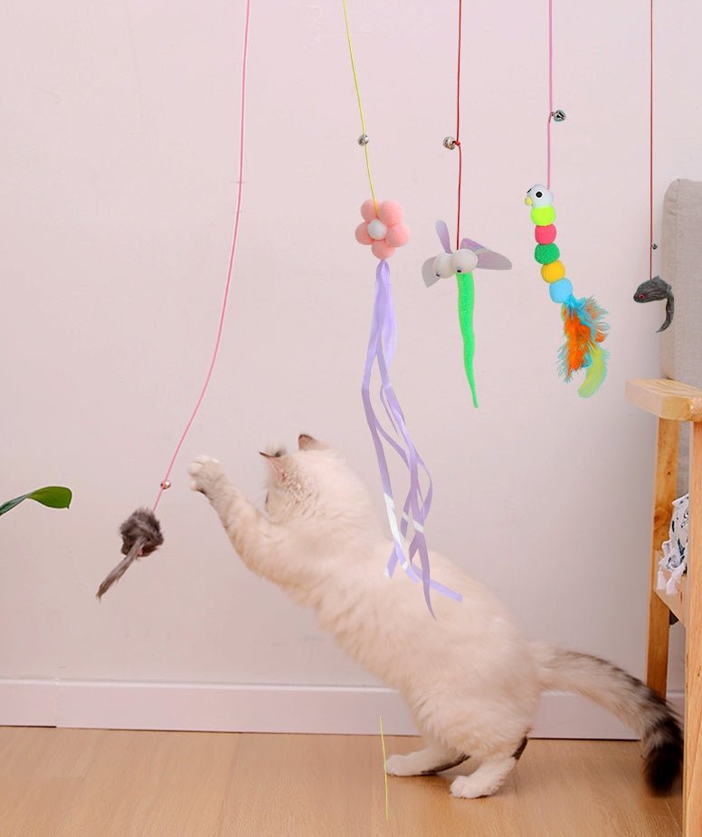 Ready Stock Wholesale & OEM Swing Sticky Elastic Hanging Door Teasing Cat Rope - Feisuo Pet