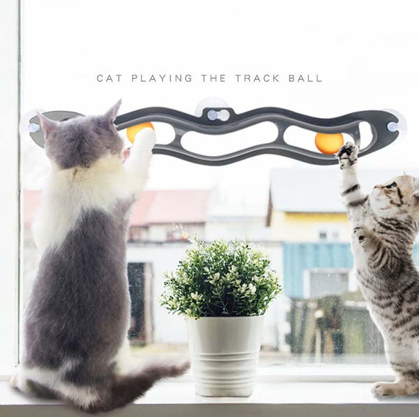 Ready Stock Wholesale & OEM Track Toy Ball with Suction Cup - Feisuo Pet