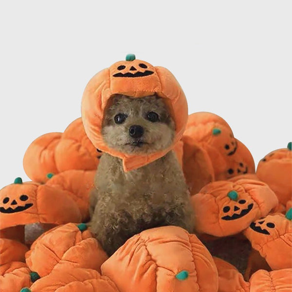 Ready Stock Wholesale Pet Funny Products Hollowen Pumpkin Hat | Feisuo Pet