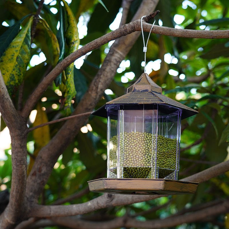 Wholesale & OEM House Design Bird Feeding House | Feisuo Pet